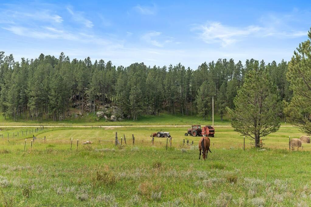 Papa'S Place On Willow Creek Custer Exterior photo